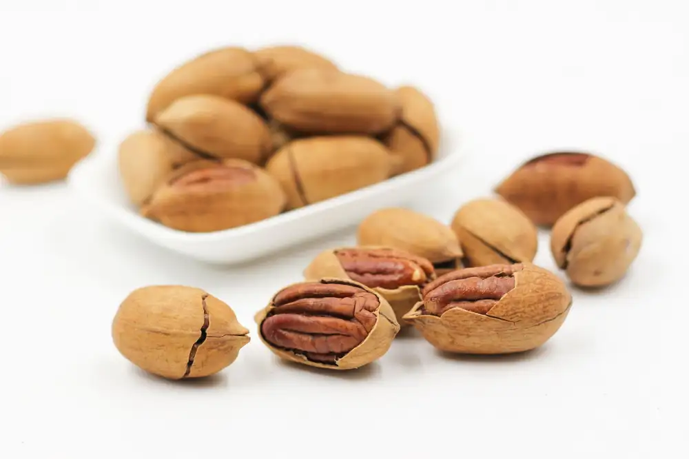 Warrior Protein