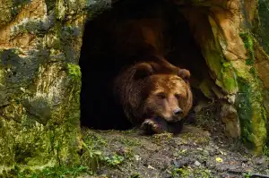 Letecký Den Kbely 2025